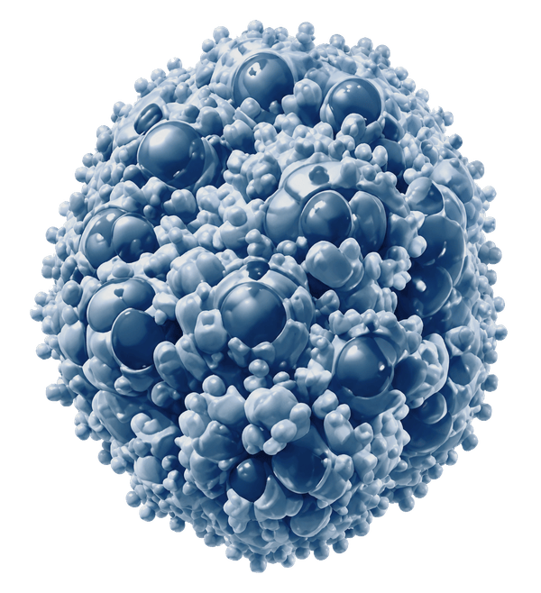 Blue 3D model of a spherical virus particle with surface spikes on its shell.