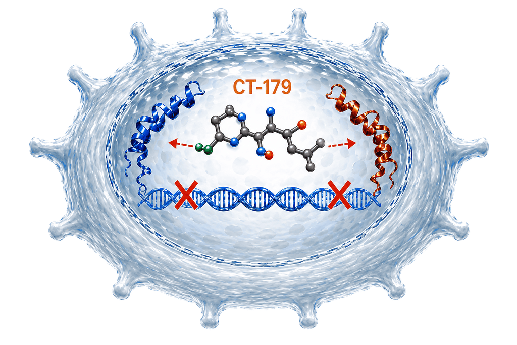 Cell interior showing a DNA double helix, a CT-179 drug molecule, and arrows indicating interaction with genetic sites.